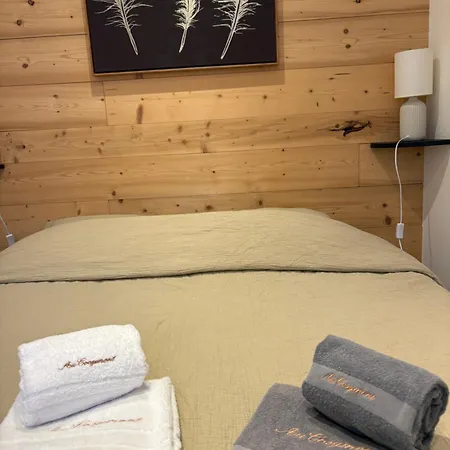 Appartement Au Cosymont - *